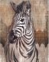 Komar Vliesbehang Zebra 200 x 250 cm (breedte x hoogte) - Thumbnail 1