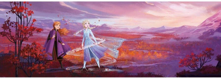 Komar Fotobehang Frozen panorama 368x127 cm (breedte x hoogte) inclusief plaksel (set)