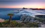 Komar Island Paradise Vlies Fotobehang 450x280cm 9-banen - Thumbnail 1