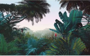 Komar Jungle Morning Vlies Fotobehang 400x250cm 8-banen