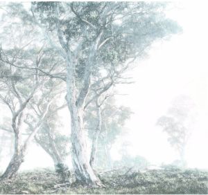 Komar Magic Trees Vlies Fotobehang 300x280cm 3-banen