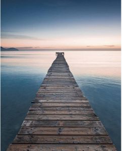 Komar Morning Breeze Vlies Fotobehang 200x250cm 2-banen