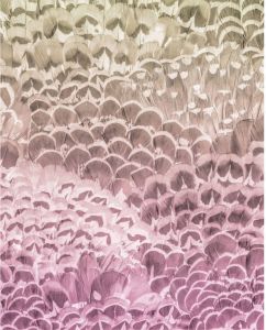 Komar Pale Feathers Vlies Fotobehang 200x250cm 2-banen