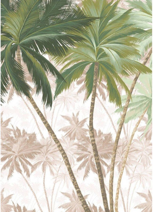 Komar Vliesbehang Palmera 200x280 cm (breedte x hoogte) vliesbehang 100 cm baanbreedte (1 stuk)