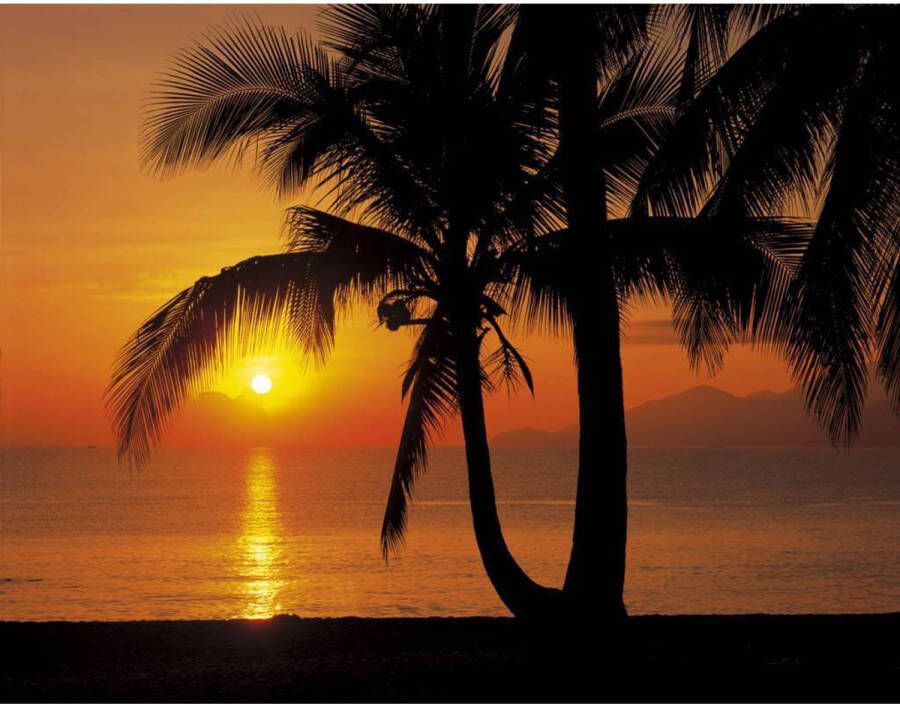 Komar Fotobehang Palmy Beach Sunrise 368x254cm Papierbehang