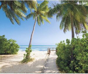 Komar Palmy Beach Vlies Fotobehang 300x250cm 3-banen