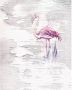 Komar Vliesbehang Pink flamingo 200x250 cm (breedte x hoogte) vliesbehang 100 cm baanbreedte (1 stuk) - Thumbnail 1