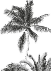 Komar Retro Palm Vlies Fotobehang 200x280cm 4-Banen