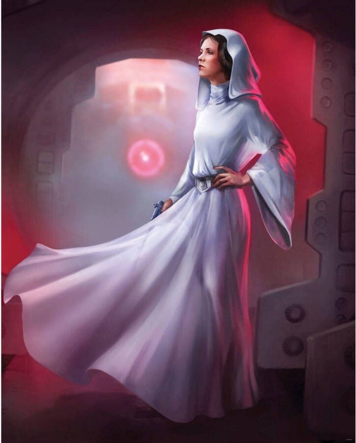 Komar Vliesbehang Star Wars Classic Death star trenchcoat Run (set)