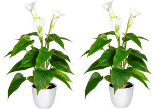 Kopu 2 stuks Calla Kunstplant 44 cm Zantedeschia Bekerplant Wit
