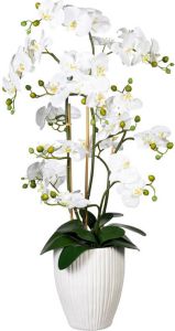 Kopu Kunstbloem Orchidee 110 Cm Wit Bloempot Rond Phalaenopsis