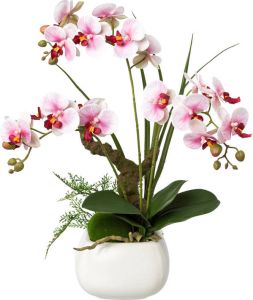 Kopu Kunstbloem Orchidee 46 Cm Lila Bloempot Vierkant Phalaenopsis