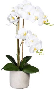 Kopu Kunstbloem Orchidee 60 cm Wit met cement Sierpot Phalenopsis