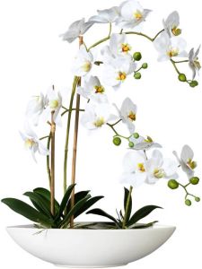 Kopu Kunstbloem Orchidee 60 cm Wit met Schaal Ovaal Phalenopsis