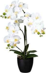 Kopu Kunstbloem Orchidee 65 cm Wit met zwarte Pot Phalenopsis