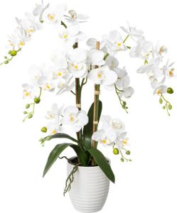 Kopu Kunstbloem Orchidee 67 Cm Wit In Bloempot Rond Phalaenopsis