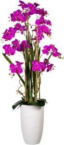 Kopu Kunstplant Orchidee 160 cm Roze in Hoge Bloempot Phalaenopsis