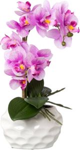 Kopu Kunstplant Orchidee 33 cm in witte Sierpot 13x9cm Roze