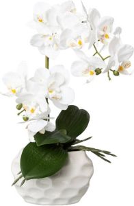 Kopu Kunstplant Orchidee 33 cm in witte Sierpot 13x9cm Wit