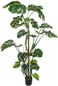 Kopu Kunstplant Split Philodendron 180 cm 23 bladeren Nepplant