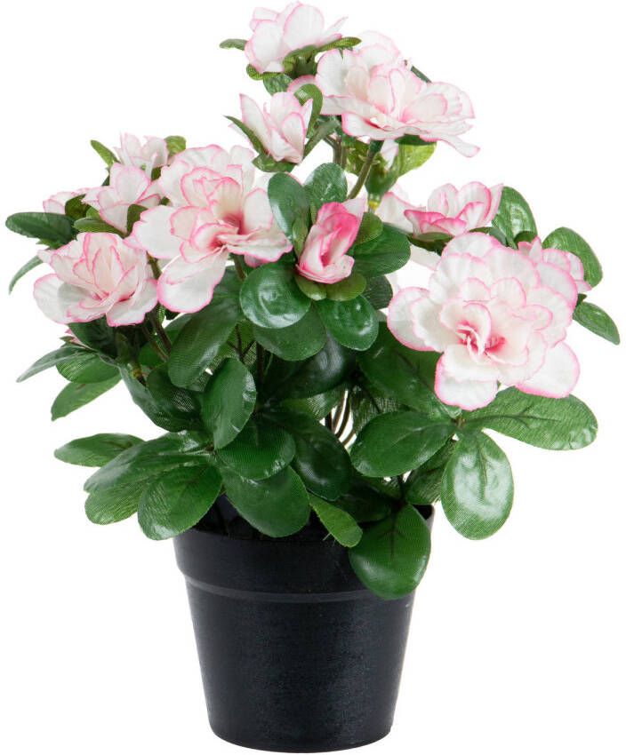 Louis Maes Azalea Kunstbloemen in pot wit roze H25 cm Kunstplanten