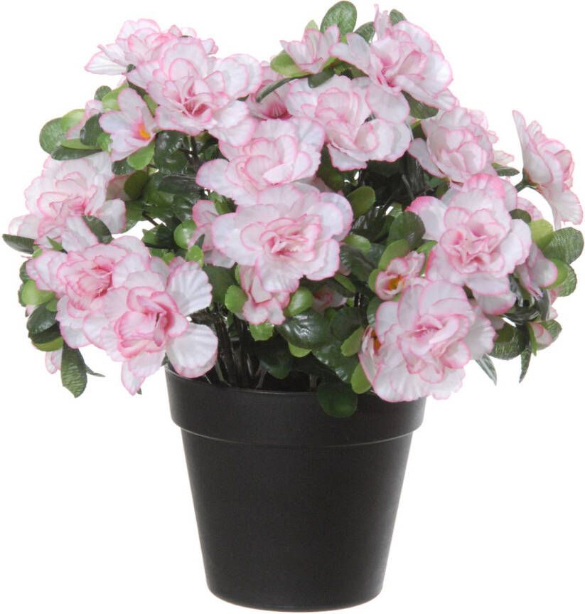 Louis Maes Azalea Kunstbloemen in pot wit roze H28 cm Kunstplanten