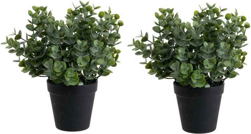 Louis Maes Eucalyptus Kunstplant 2 stuks in pot groen H28 cm Kunstplanten
