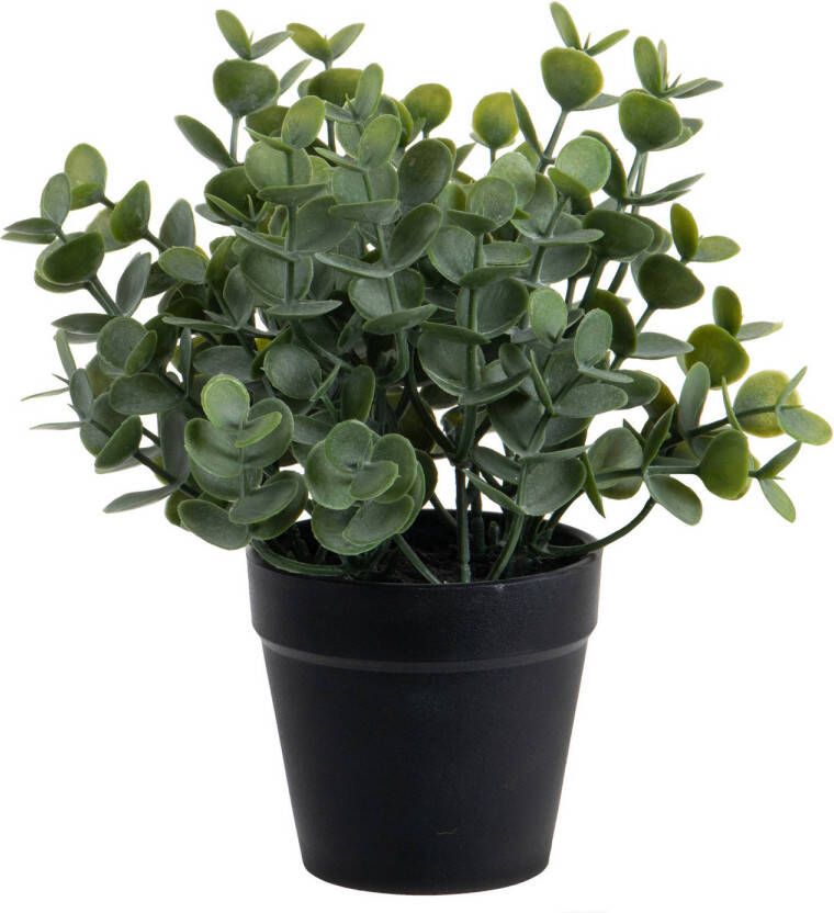 Louis Maes Eucalyptus Kunstplant in pot groen H20 cm Kunstplanten