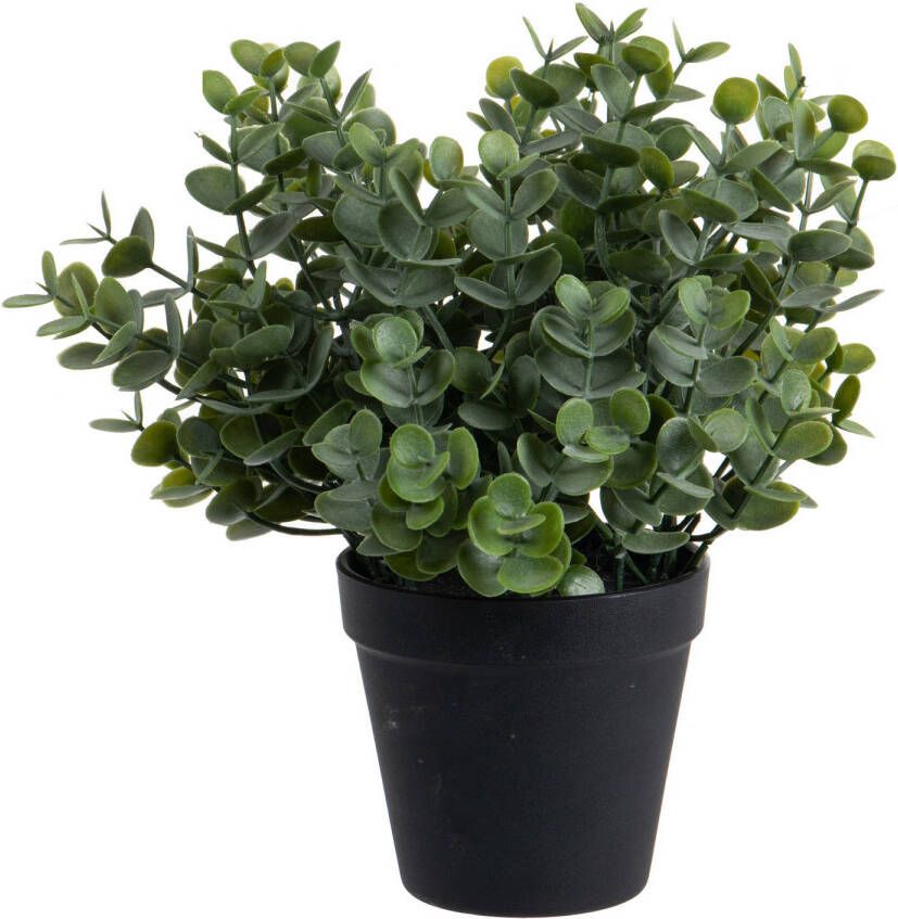 Louis Maes Eucalyptus Kunstplant in pot groen H28 cm Kunstplanten