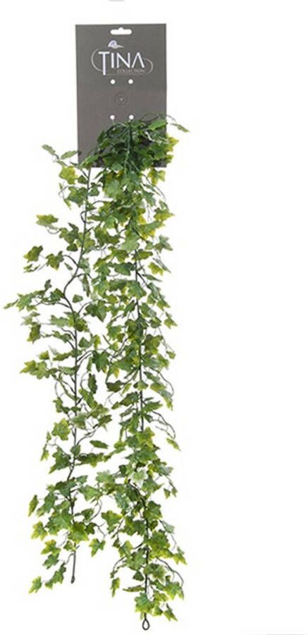 Louis Maes kunstplant blaadjes slinger Klimop hedera groen wit 181 cm Kunstplanten