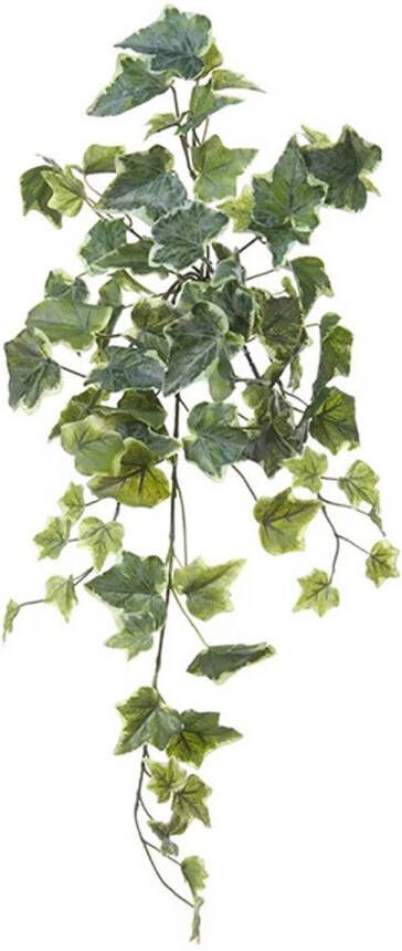 Louis Maes kunstplant met blaadjes hangplant Klimop hedera groen wit 58 cm Kunstplanten