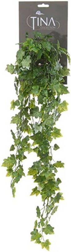Louis Maes kunstplant met blaadjes hangplant Klimop hedera groen wit 70 cm Kunstplanten