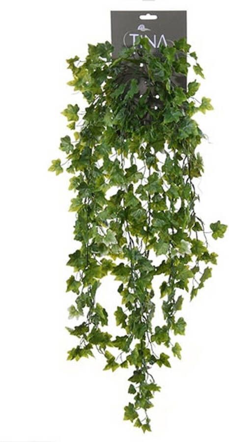 Louis Maes kunstplant met blaadjes hangplant Klimop hedera groen wit 80 cm Kunstplanten