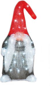 Lumineo Kerstverlichting Led figuren voor buiten gnome dwerg 19 x 22 x 44 cm met 60 lampjes helder wit Verlichte figuren sneeuwpoppen kerstverlichting figuur