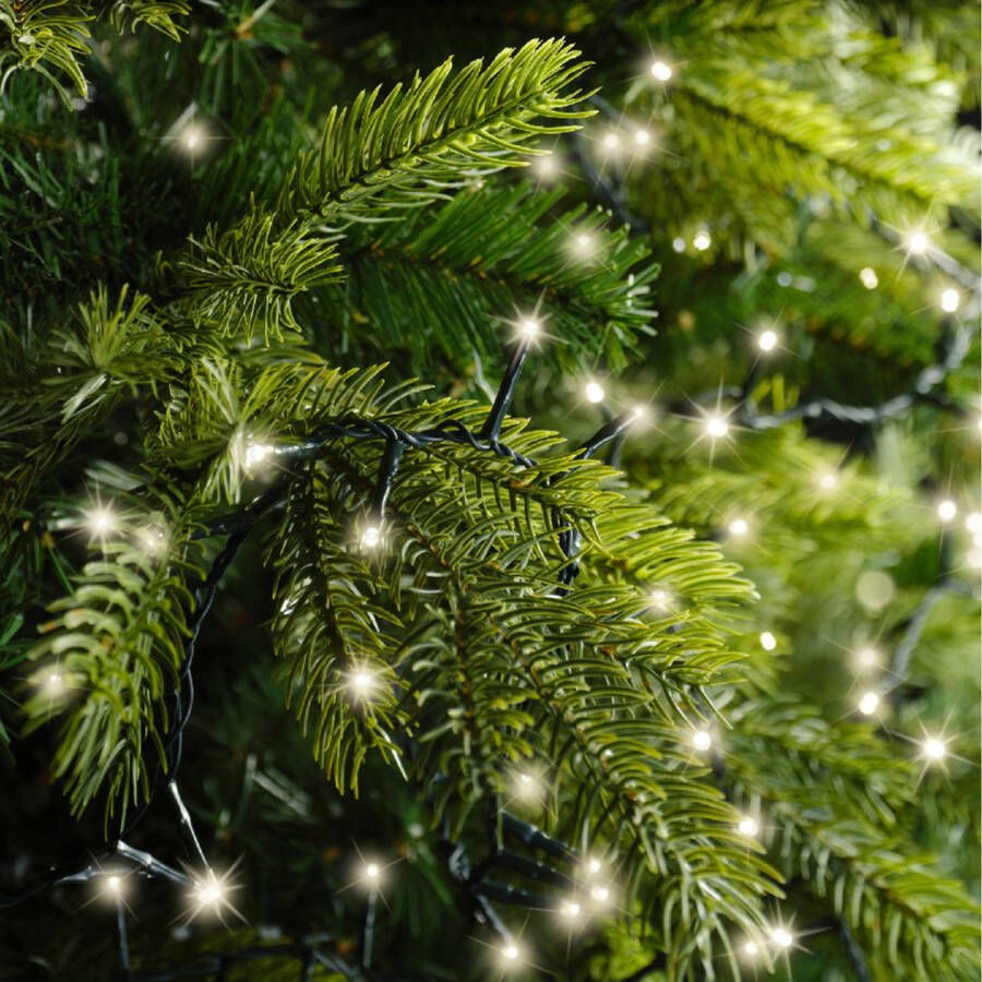 Lumineo Luxe LED knipperverlichting warm wit 750 lichtjes Kerstverlichting kerstboom