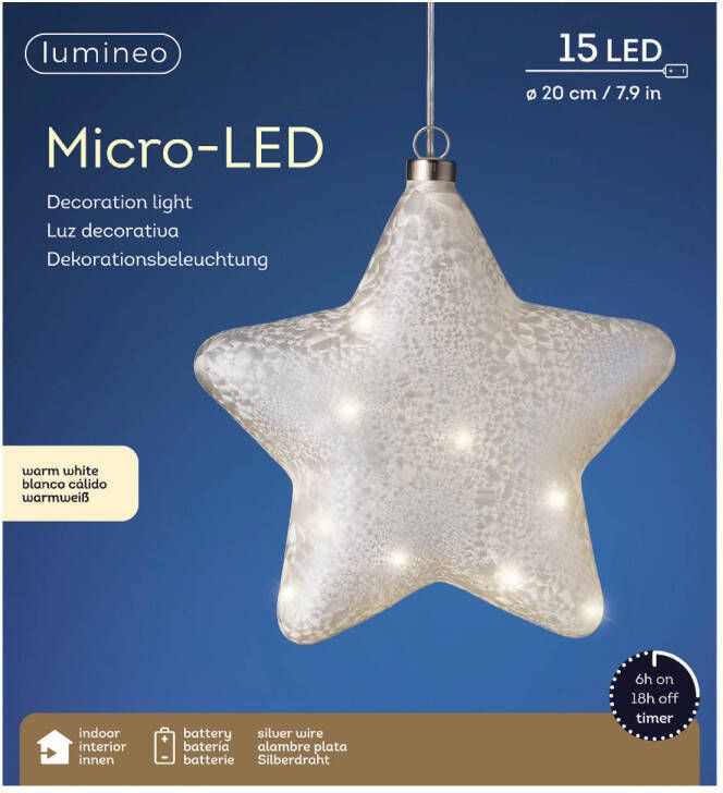 Lumineo MicroLED ster d20l6.5 cm frost kerst