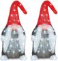 Lumineo Set van 2x stuks kerstverlichting Led figuren voor buiten gnome dwerg 19 x 22 x 44 cm met 60 lampjes helder wit kerstverlichting figuur - Thumbnail 1