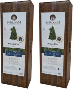 Lumineo Set van 2x stuks verlichte figuren zwarte lichtbomen metalen bomen kerstbomen met 600 led lichtjes 300 cm kerstverlichting figuur