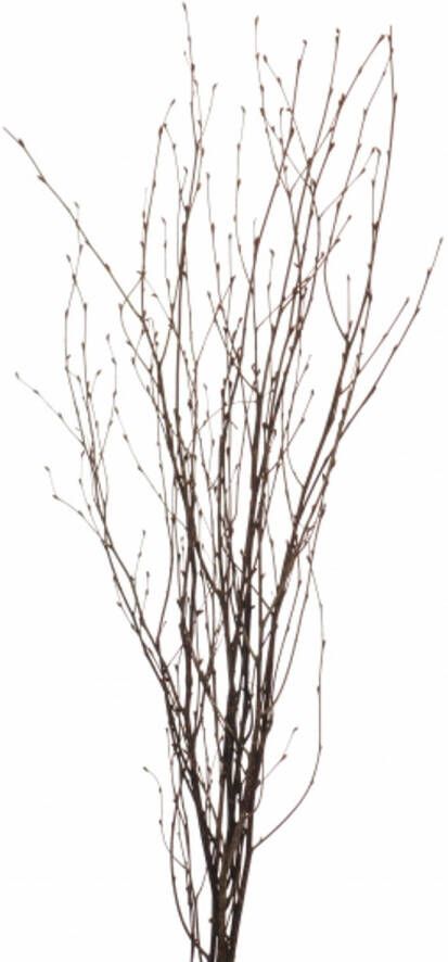 Merkloos 1x Bosje bruine paastakken 115 cm berkentakken kunsttakken Kunstplanten