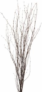 Merkloos 1x Bosje bruine paastakken 115 cm berkentakken kunsttakken Paasdecoratie Paasversiering Kunstplanten