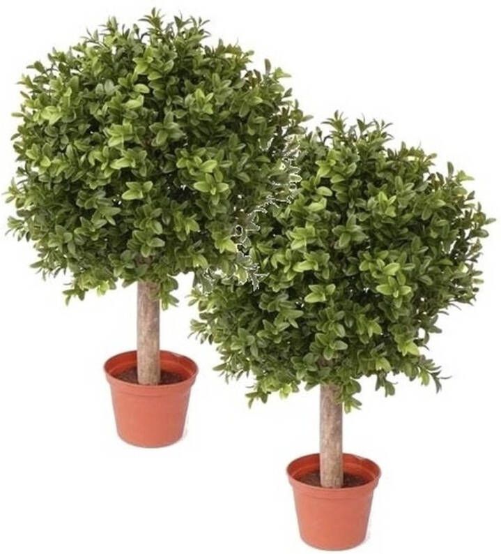 Merkloos 2 Stuks Buxus kunstplanten op stam in pot 36 cm Kunstplanten