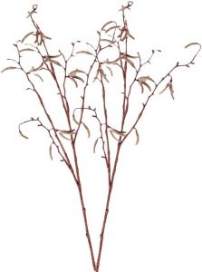 Shoppartners 2x Bruine Betula pendula berkenkatjes paastak kunsttak 66 cm Kunstbloemen kunsttakken Kunstbloemen boeketten Kunstplanten