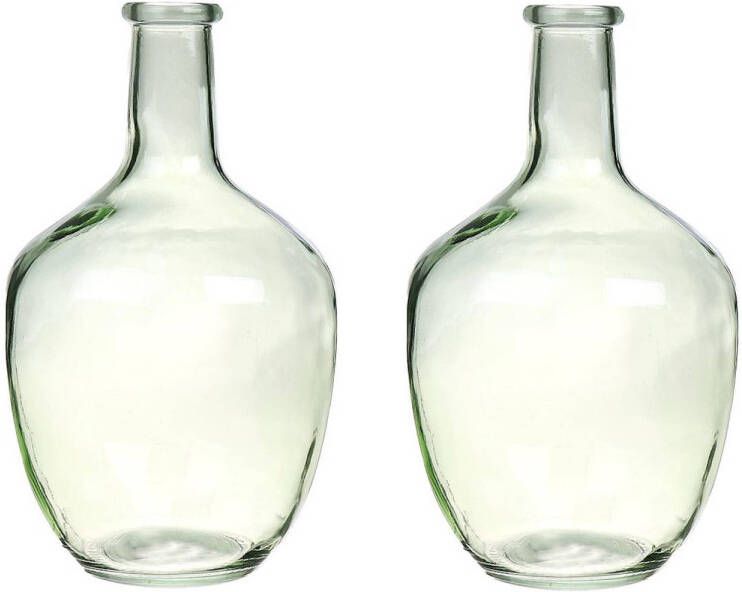 Merkloos 2x Fles vazen Milano 18 x 30 cm transparant lichtrgroen glas Vazen