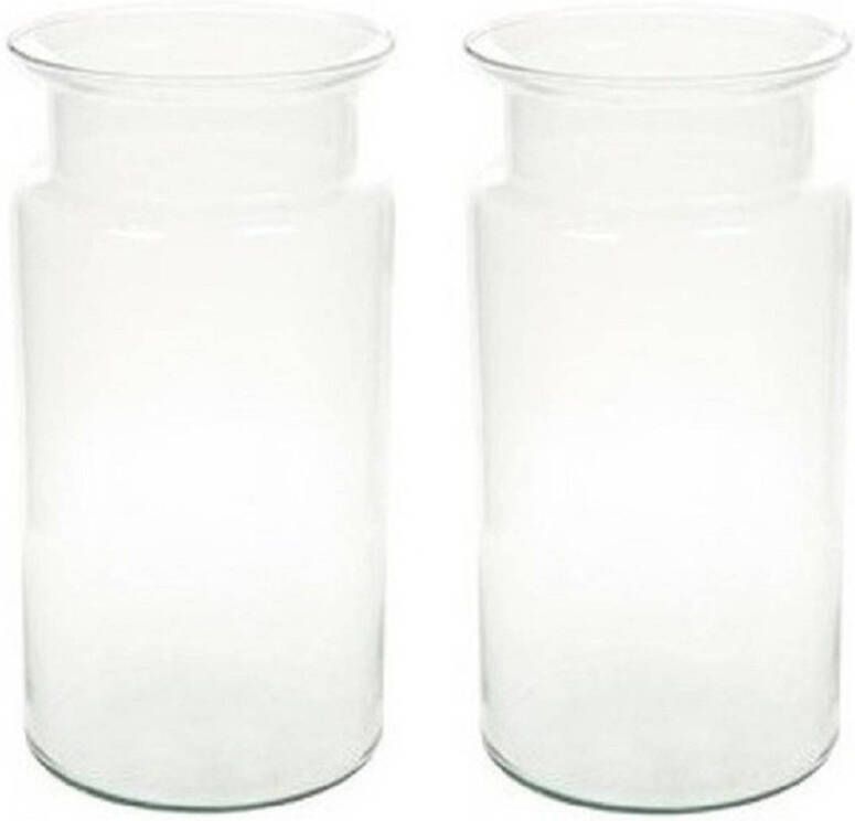 Merkloos 2x Flesvormige bloemenvazen glas 30 cm Glazen vaas flesvorm 2 stuks Vazen
