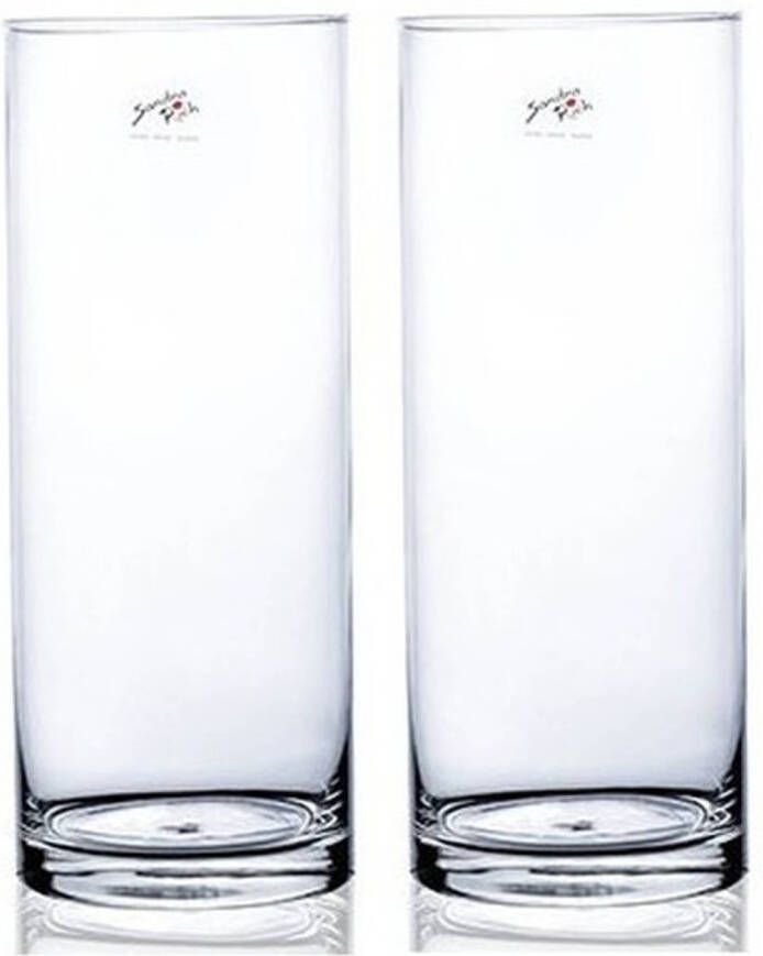 Merkloos 2x Cilinder bloemen vaas helder glas 12 x 30 cm Vazen
