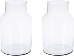 Merkloos 2x Glazen vaas vazen 5 liter van 14 x 26 cm Bloemenvazen Glazen vazen voor bloemen en boeketten Vazen
