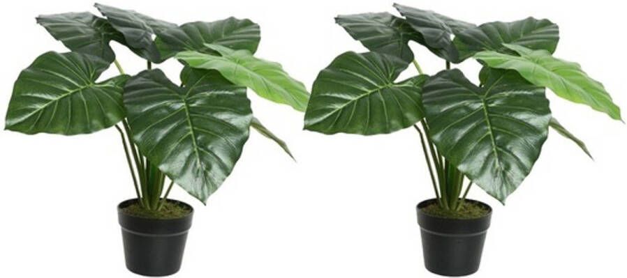 Shoppartners 2x Groene Colocasia taro kunstplanten 52 cm in zwarte pot Kunstplanten nepplanten Kantoorplanten Kunstplanten