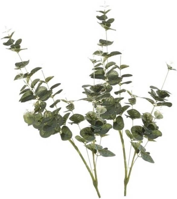 Merkloos 2x Groene Eucalyptus kunsttakken kunstplanten 75 cm Kunstplanten
