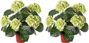 Merkloos 2x Groene Hydrangea hortensia Kunstplanten 40 Cm Kunstplanten