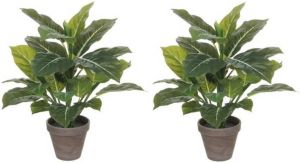 Shoppartners 2x Groene Philodendron kunstplanten 49 cm in grijze pot Kunstplanten nepplanten Kunstplanten
